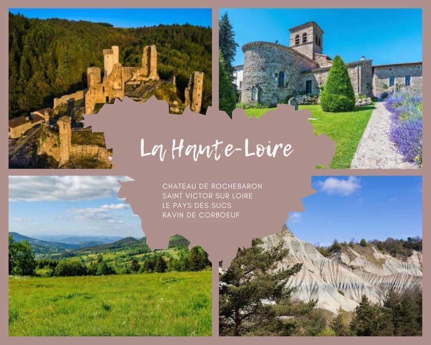Le Lagon Bleu - Appt Wifi Parking Balcon Le Puy-en-Velay Exteriér fotografie
