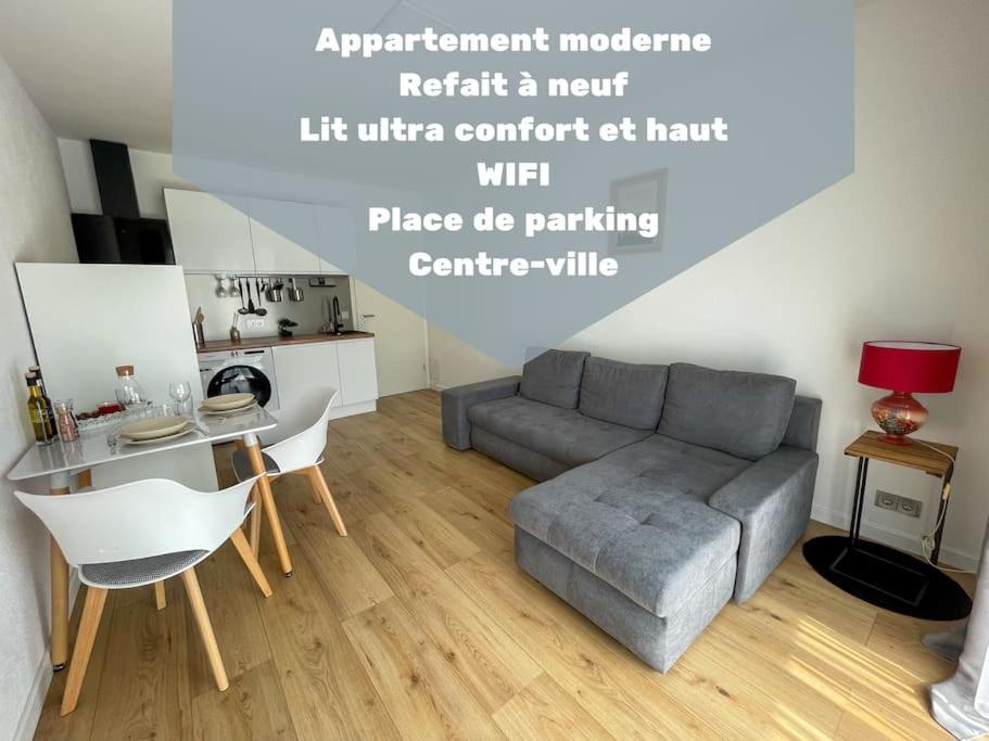 Le Lagon Bleu - Appt Wifi Parking Balcon Le Puy-en-Velay Exteriér fotografie